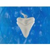 Silver Sharks Tooth Pendant