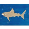 Gold Medium Great White Pendant