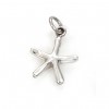 Starfish Charm