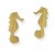 9ct Yellow Gold Seahorse Earrings