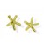 9ct Yellow Gold Starfish Earrings