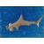 Gold Hammerhead Pendant